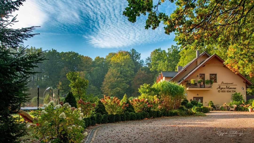 Agromurena Gryfów Śląski Exterior foto
