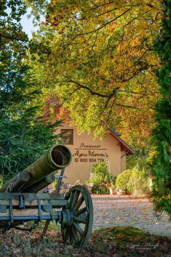 Agromurena Gryfów Śląski Exterior foto